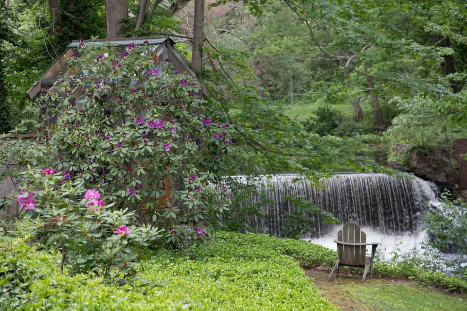 A few steps away in the backyard you will find a waterfall (& two chairs now). 