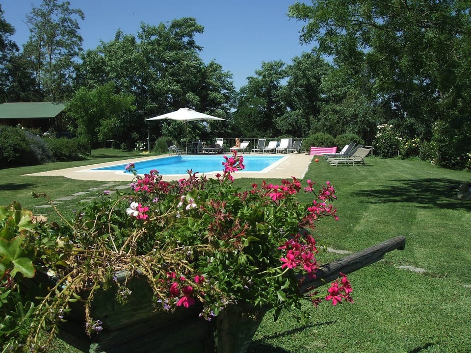 View of the swimming pool through red flowers