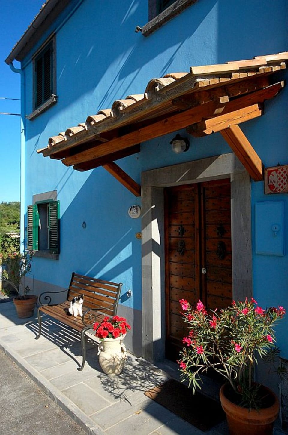 The entrance of Blue house