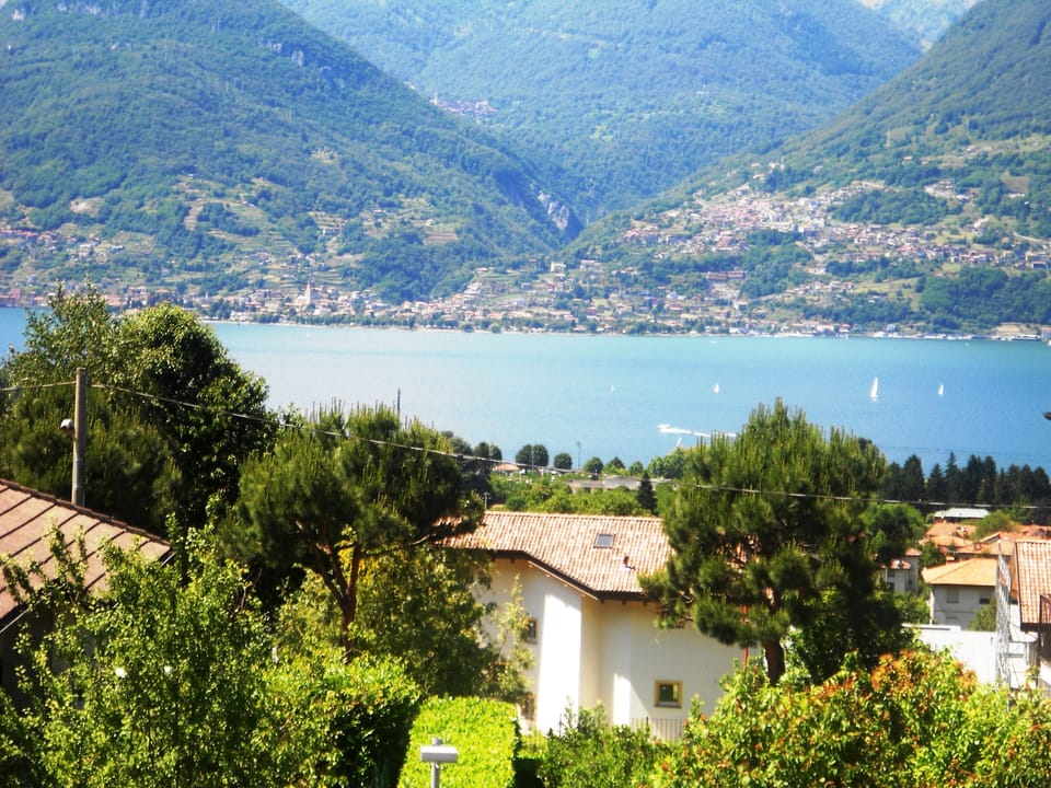 Lake view from the garden