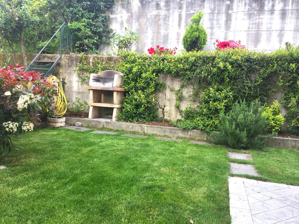 The garden with the BBQ and some flavours