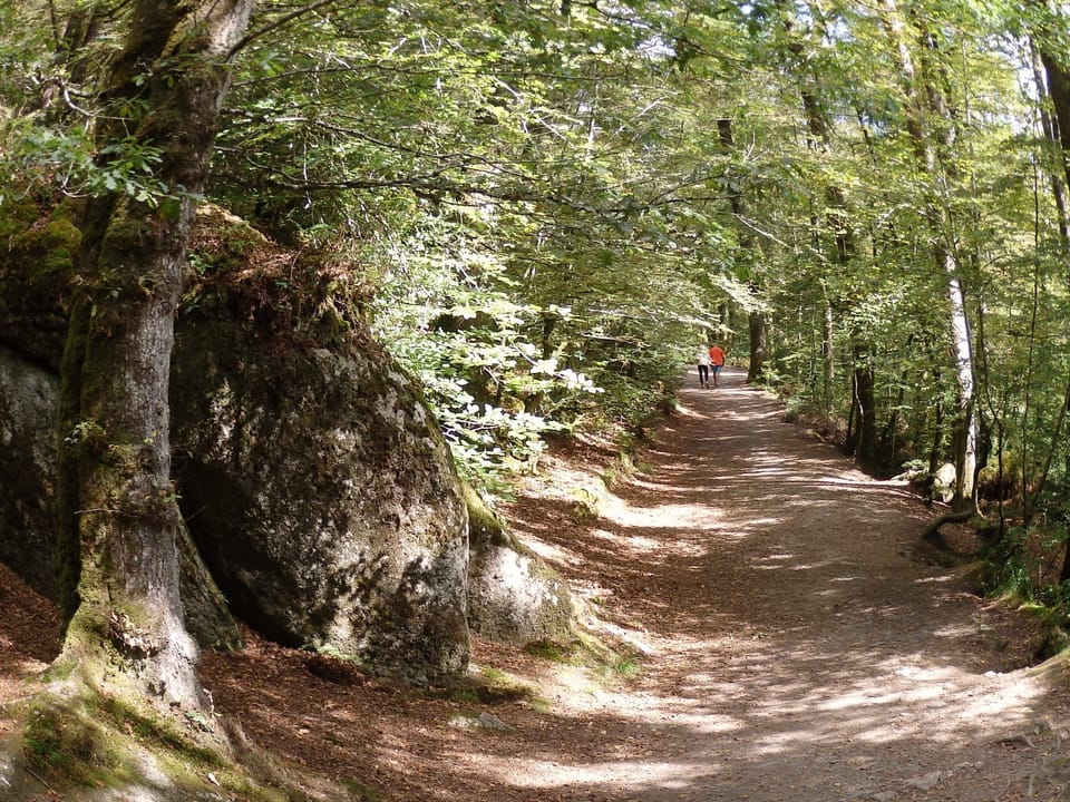Magical Huelgoat forest, less than 30 minutes away. 