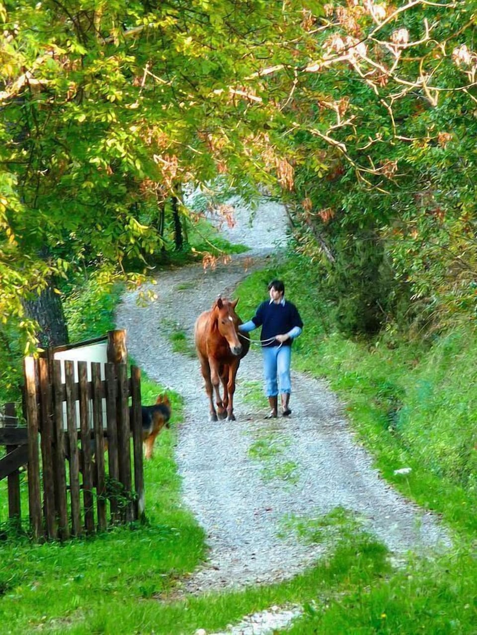 Access road to the property