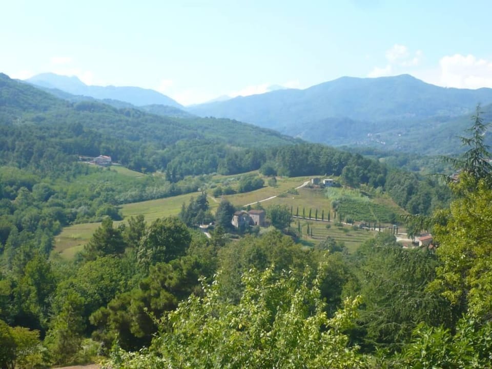 View from the swimming pool