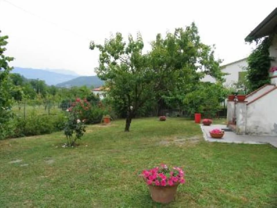 Garden, Park