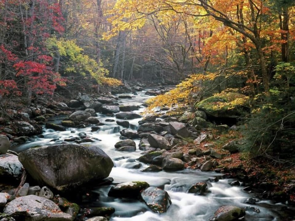 Little Pigeon River