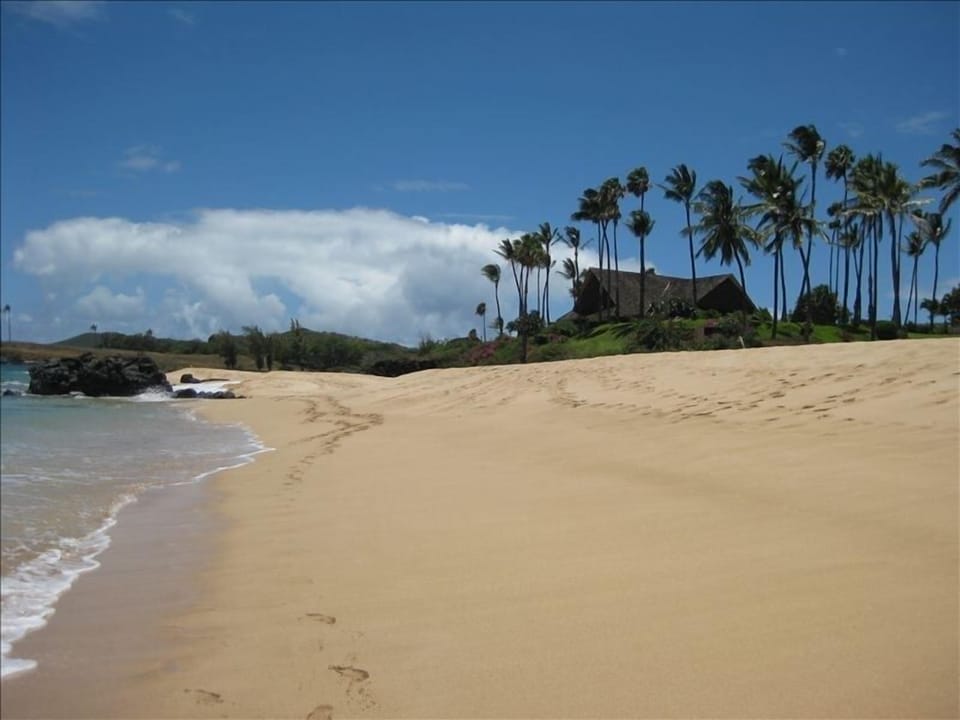 On beach looking up at condos