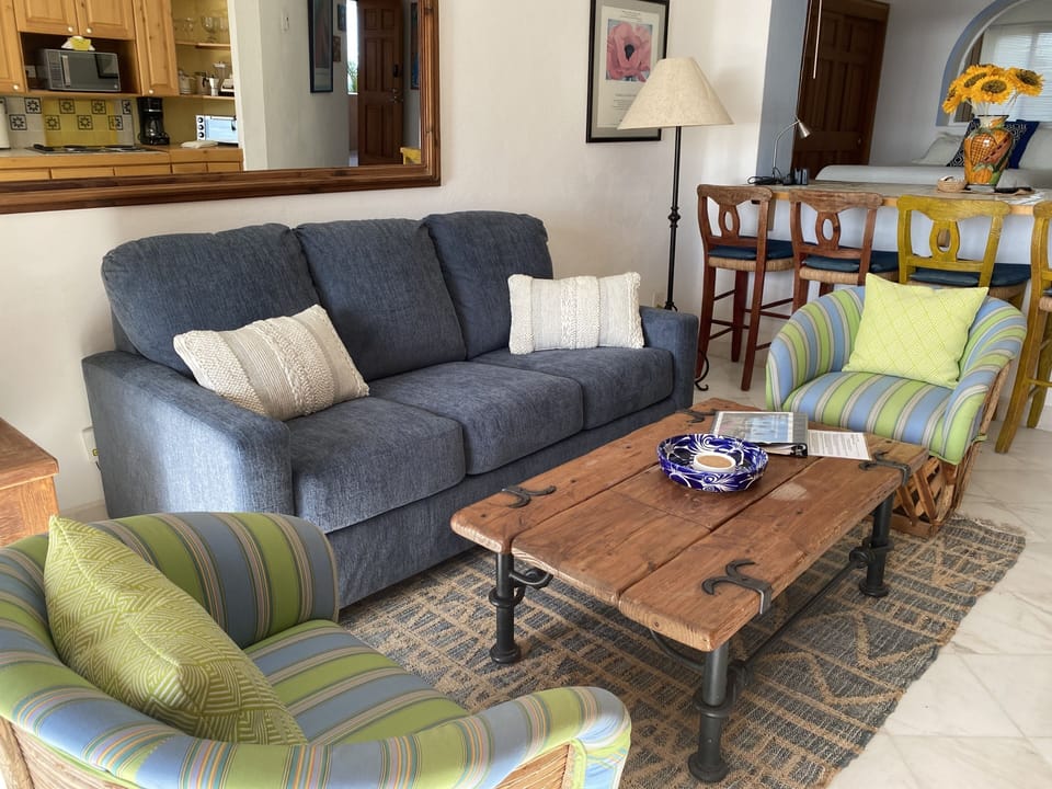 Living room with sleeper sofa.