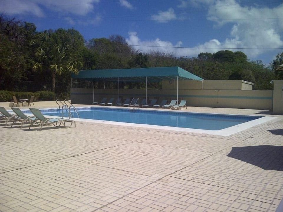 take a dip in the pool