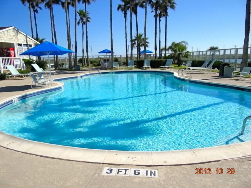 Palm tree and blue pool!Let's relax with the sun!