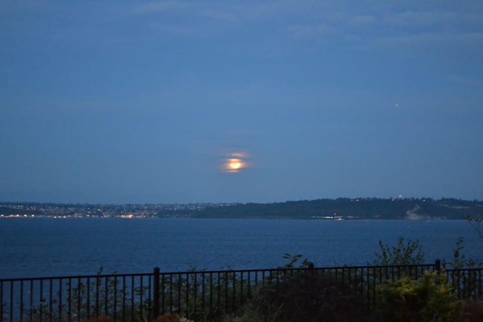 view from the deck