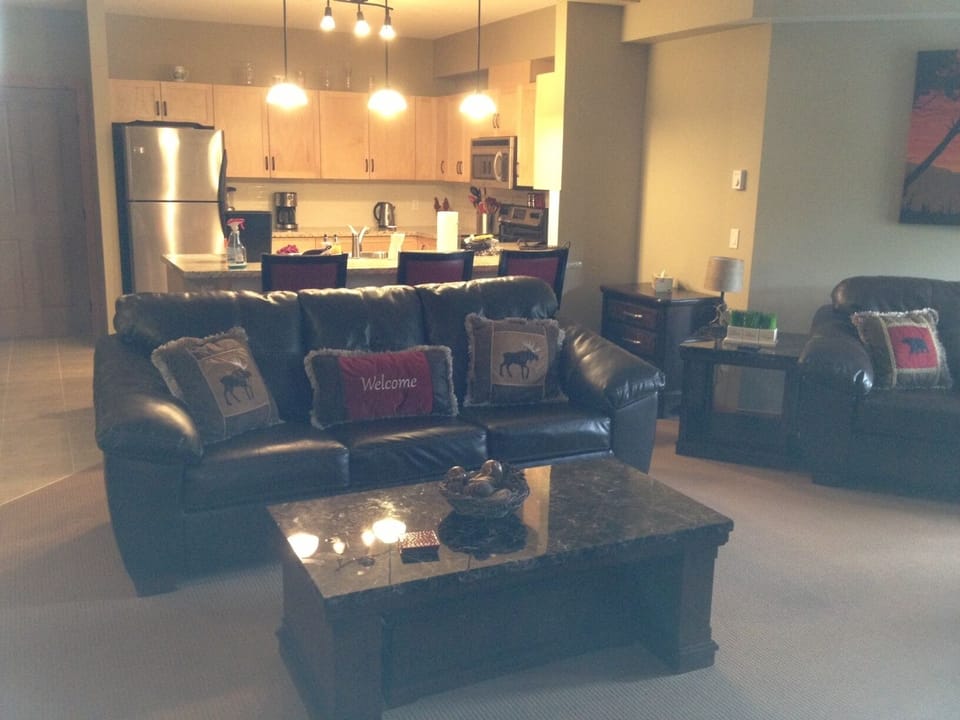 Living room- queen pull-out sleeper