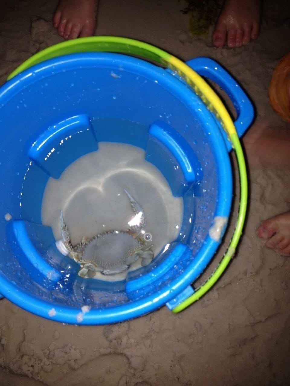 Go crabbing at night right on the beach!