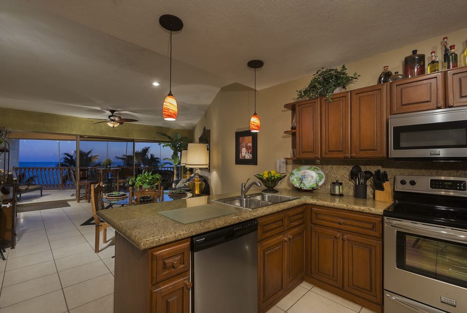 Gourmet kitchen with new stainless steel appliances