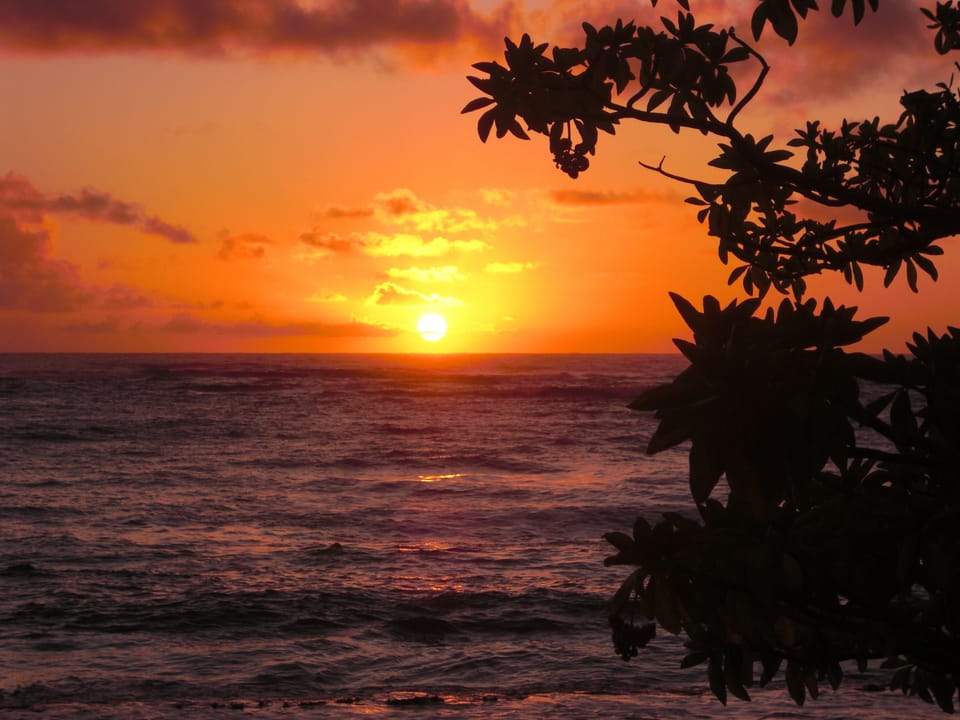 Guaranteed Daily Sunsets