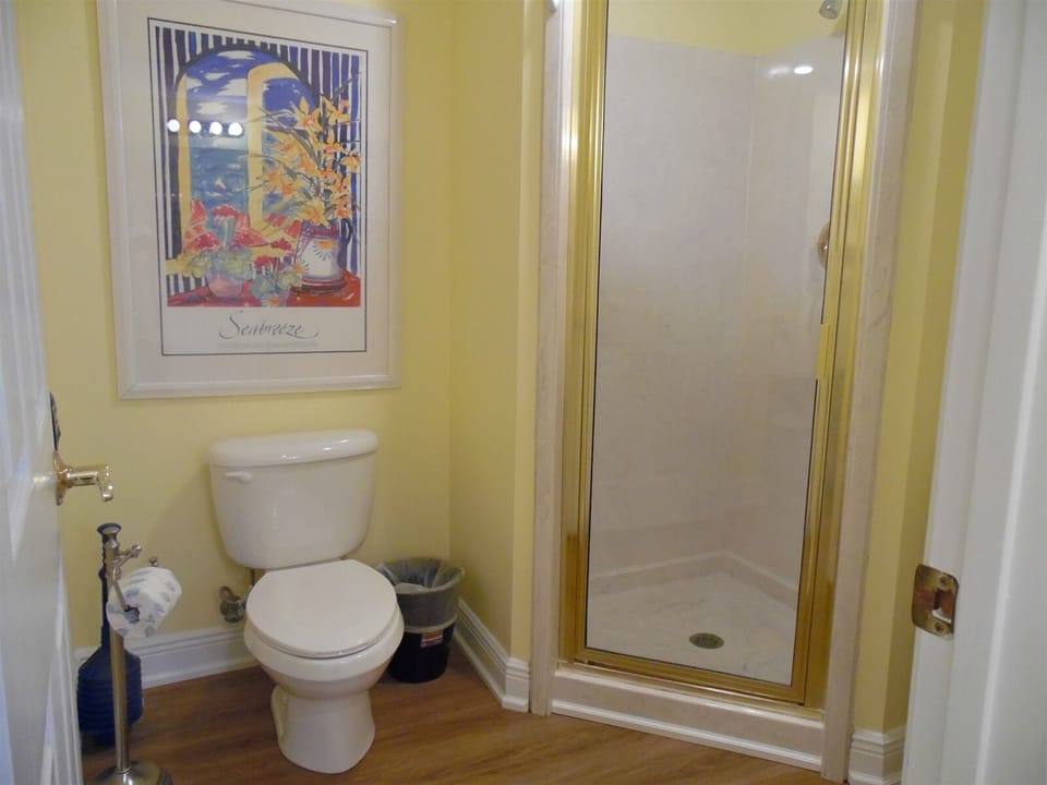 Master Shower