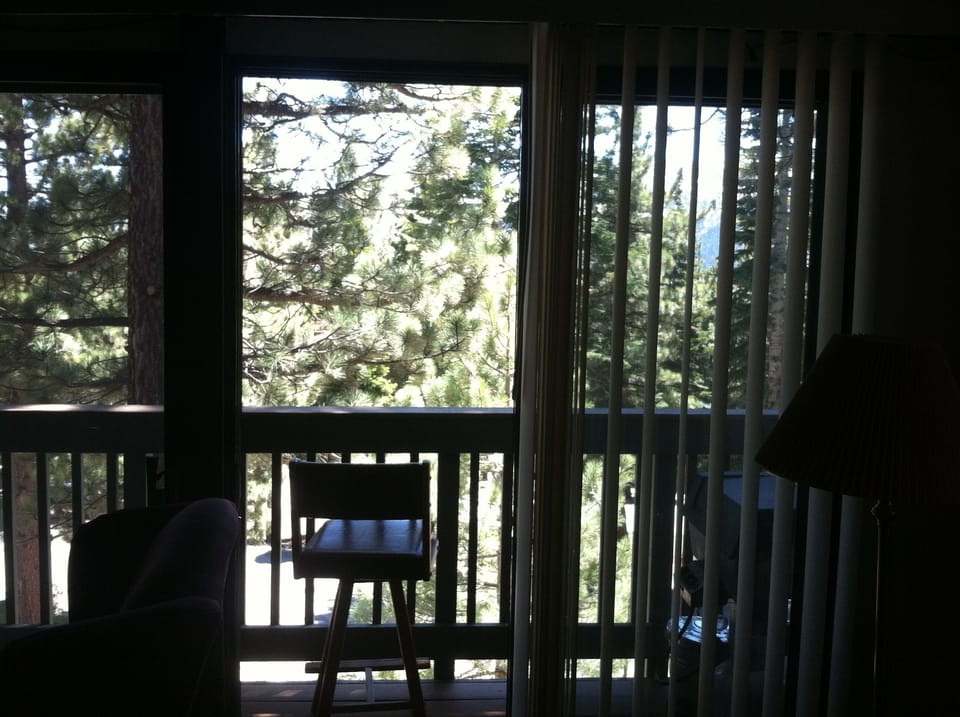 VIEW FROM LIVING ROOM
