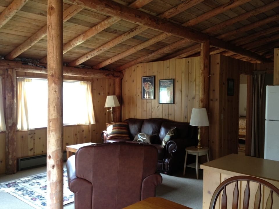 Cozy living room with electric fireplace - 1950's log post and beam cabin