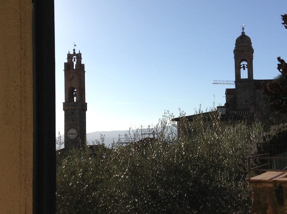 View from the Living Room Window