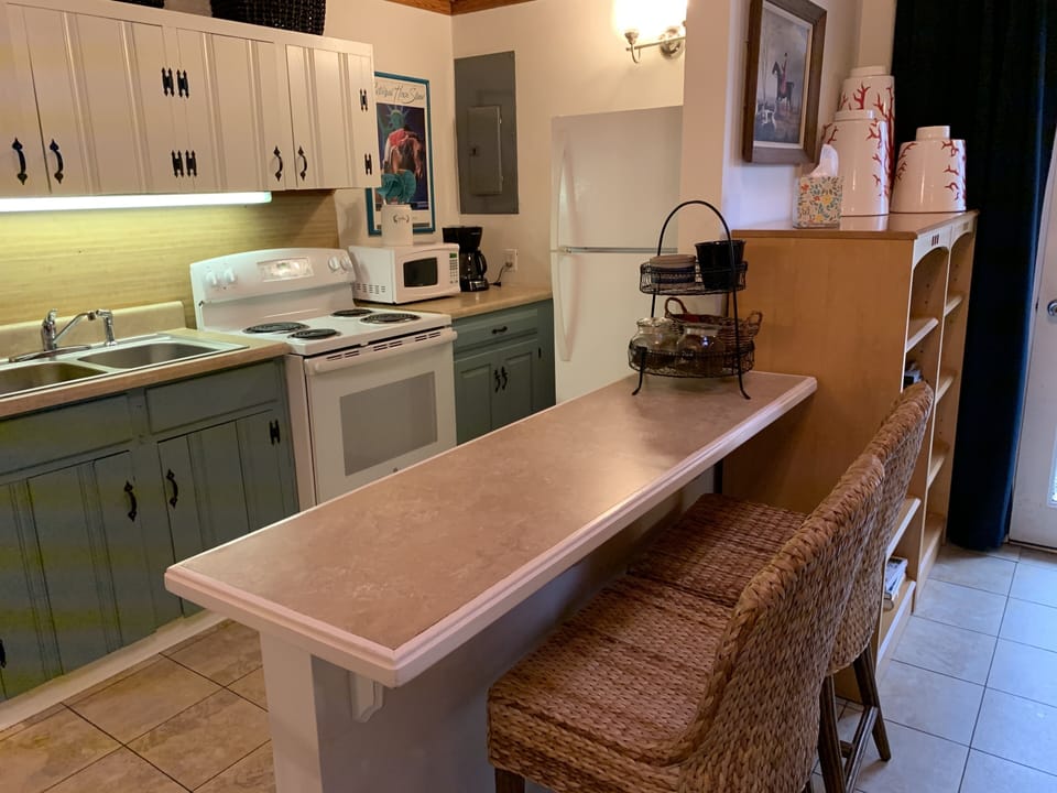 Kitchen and breakfast bar