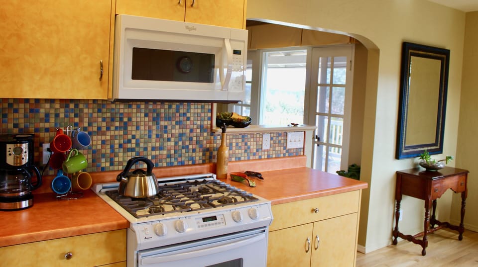 Huge retro kitchen