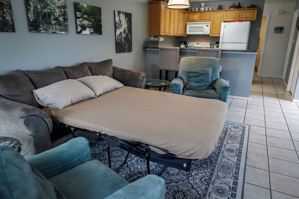 couch is a full-size sleeper bed, bedding and pillows are provided