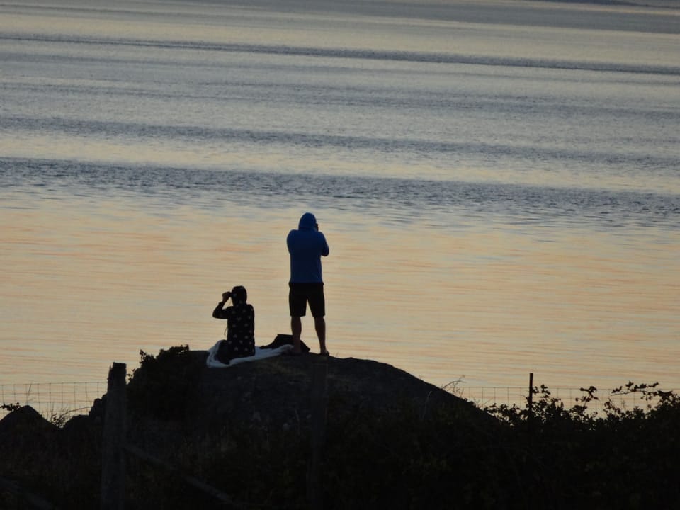 look for the orca whales from a nearby viewing rock just outside the pasture