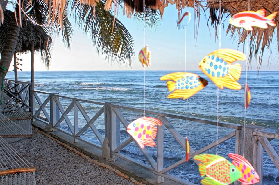 Wake-up to fresh air and a beautiful view.