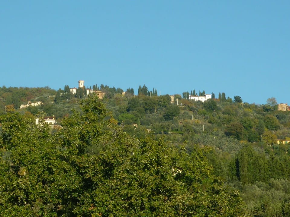 House in the Florentine hills with swimming pool, free parking and wifi House in Tuscany
