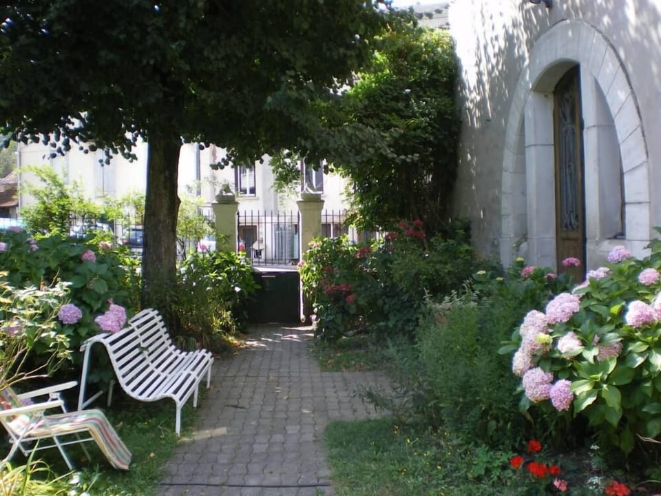 Garden, Park