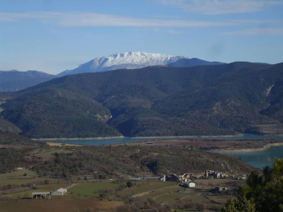 Overview
