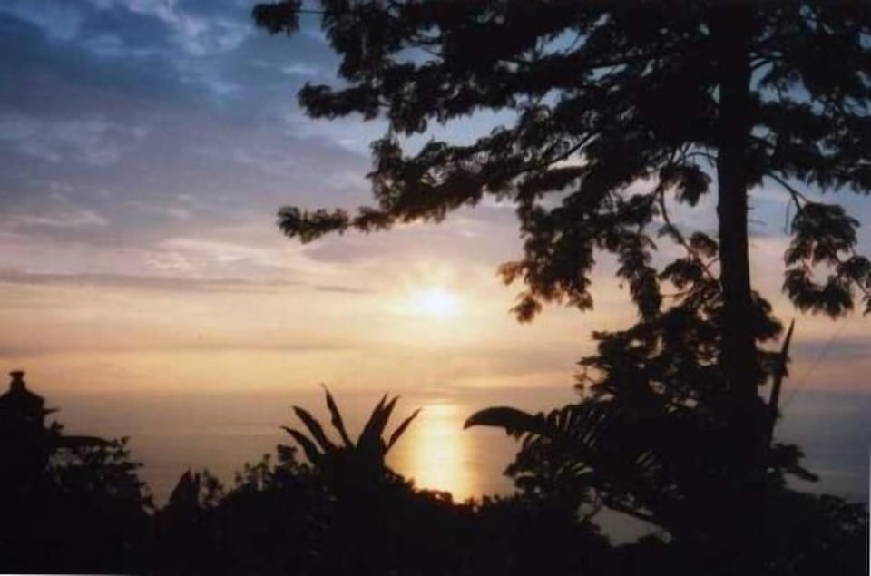 Enjoy your Makalani  'Heavenly View'  
