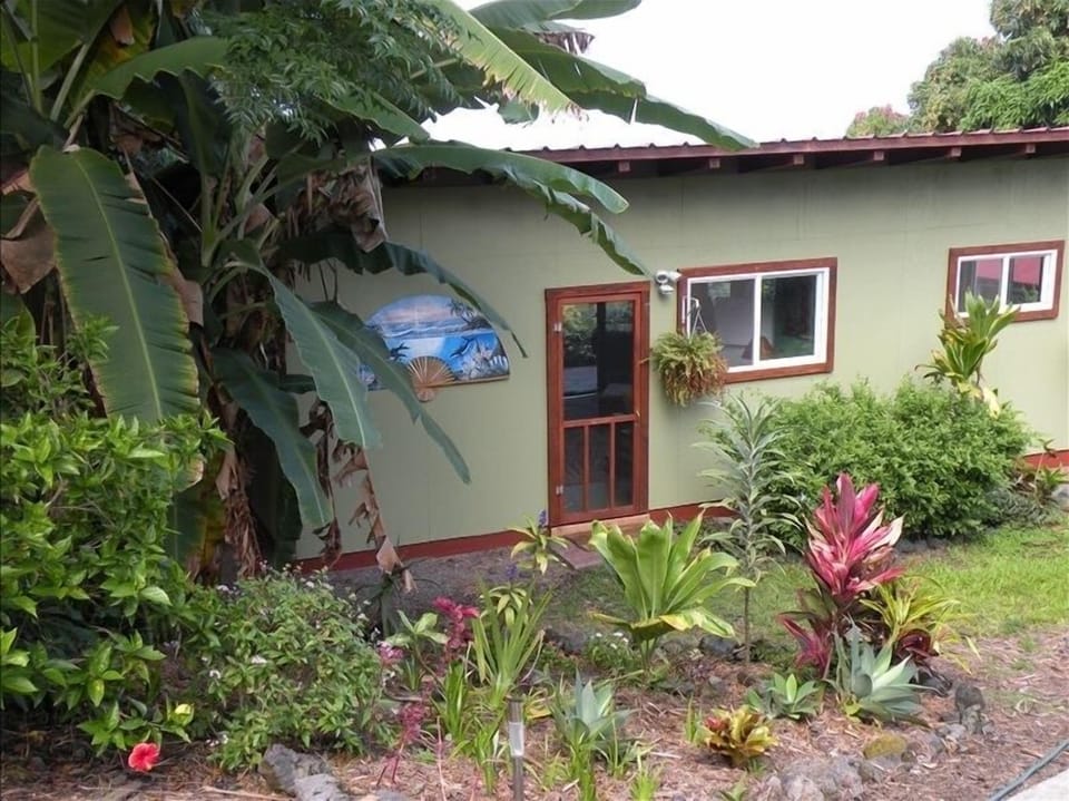 The front of the  cottage in a grove of  banana trees