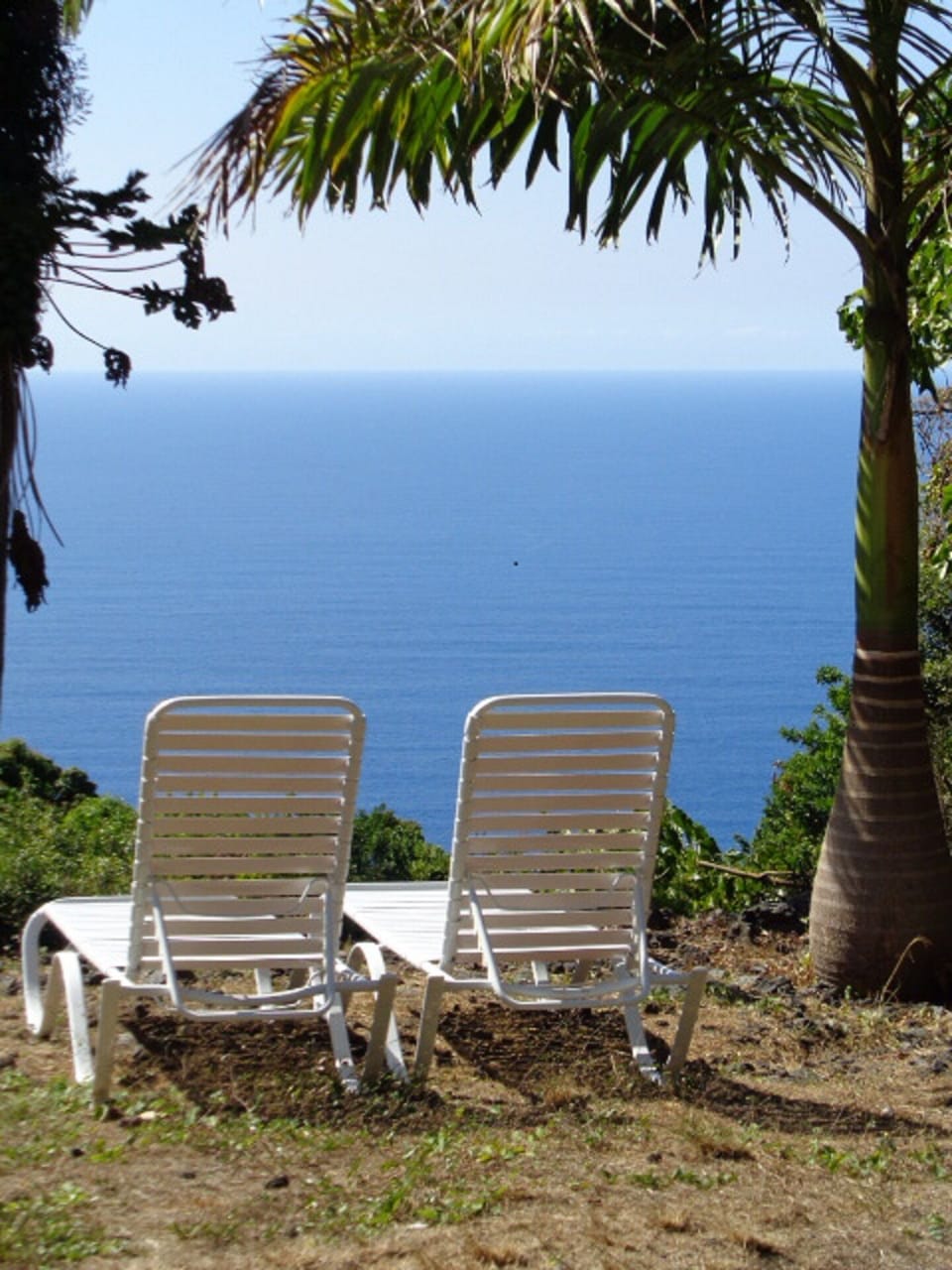 Your lounge chairs await !