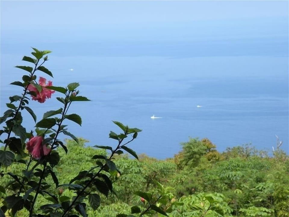 Your  Heavenly OceanView from the cottage lanai