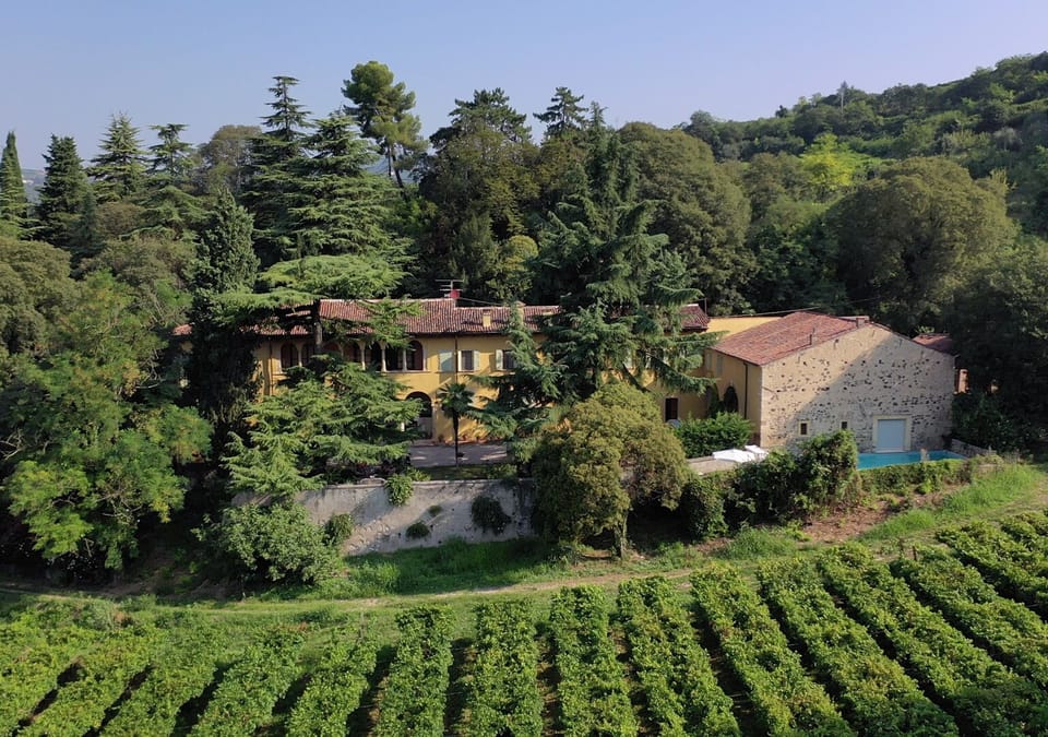 Aerial view of Villa Sogara