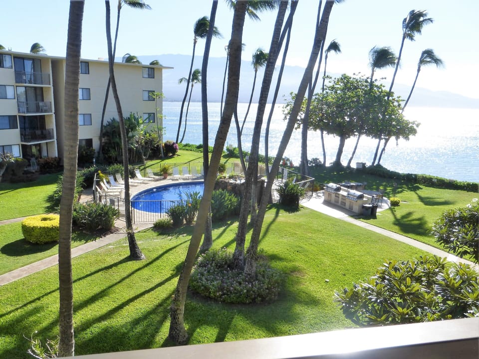The beach, pool, and sun all from our lanai. What more could you ask for...