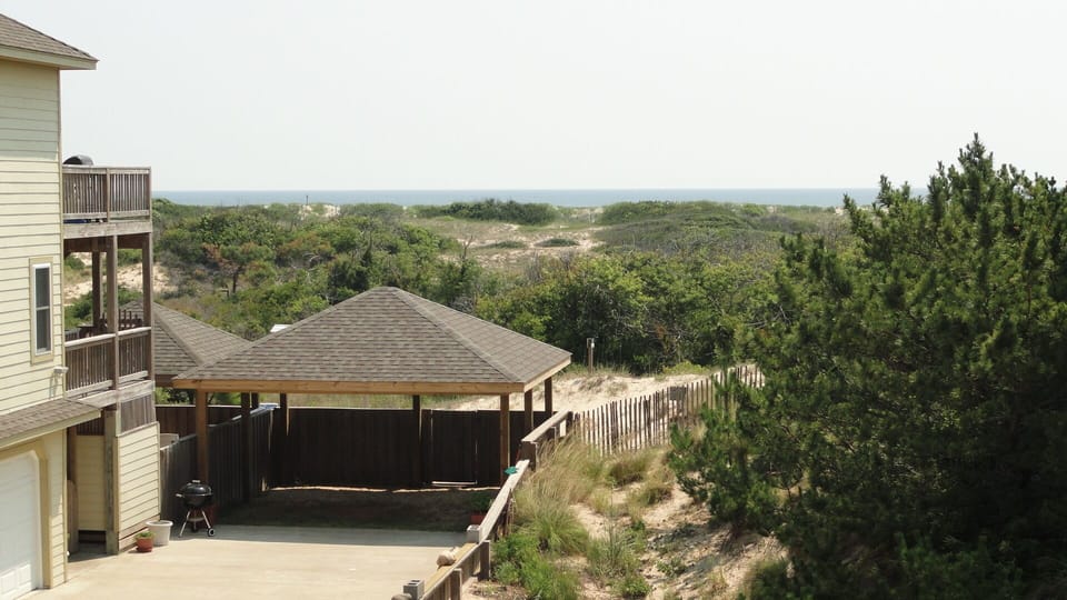 Ocean view, wildlife seen in open space