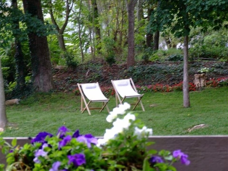 Woodsy Back Yard for Peaceful Relaxation