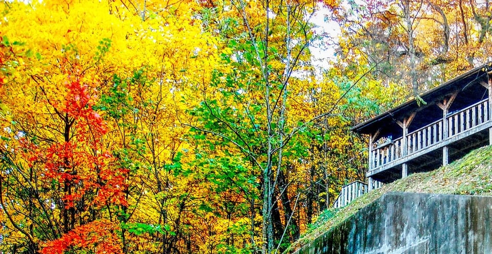 Fall !
