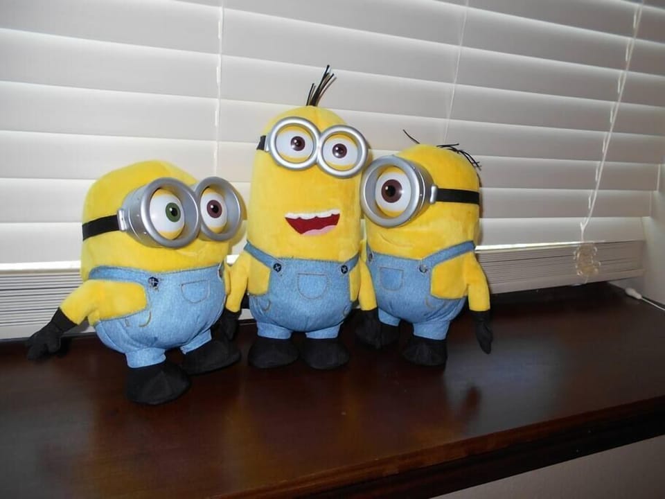 Minion fun for the whole family.