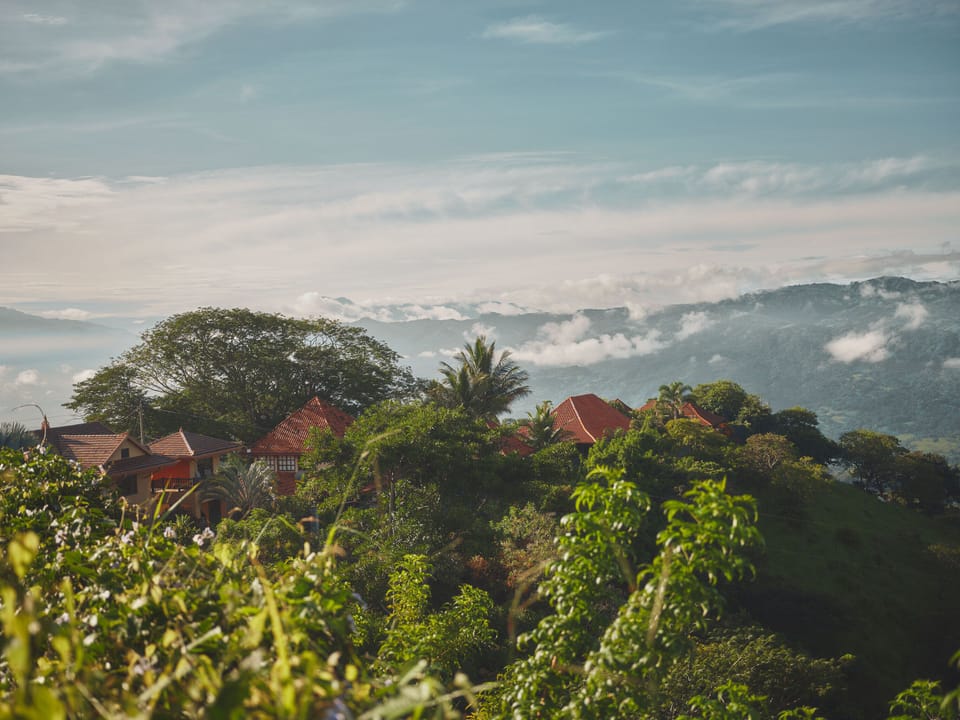 Vista from the home