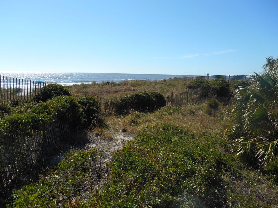 The Dunes at Sea Cabin