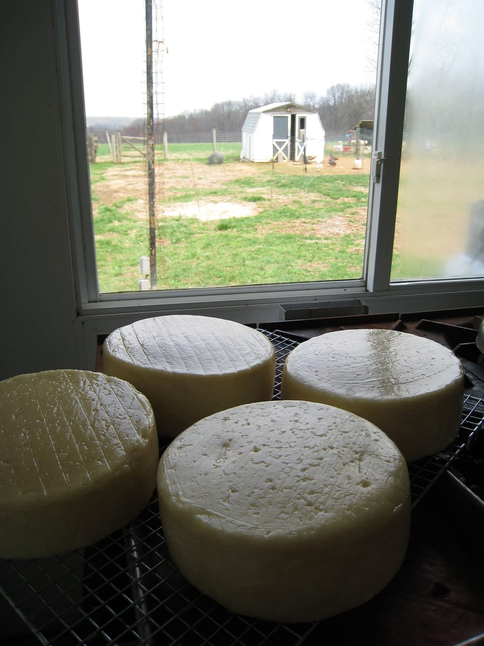 Visit our local cheesemaker - about 2 miles away!