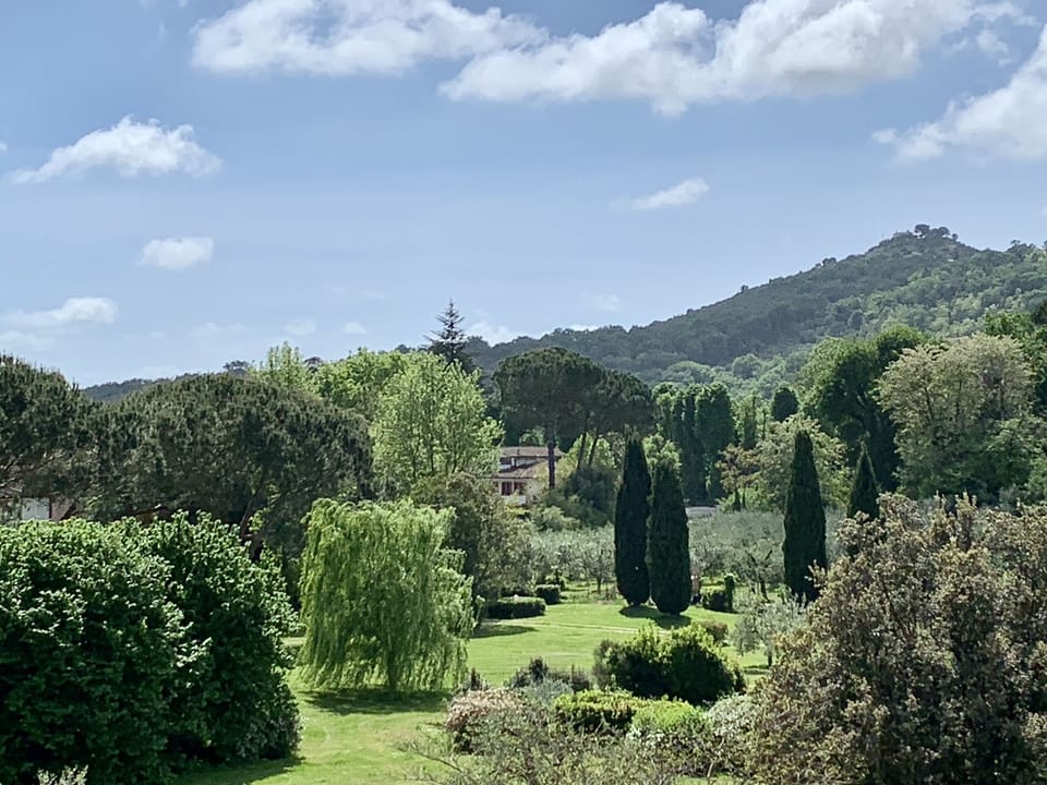 Garden View from bedroom 