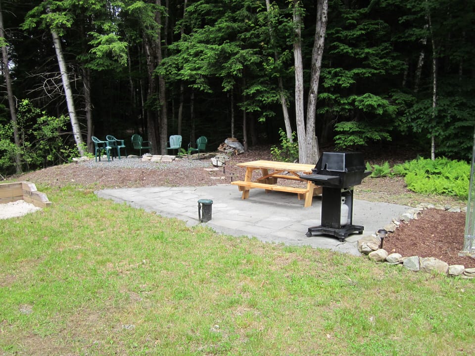 Patio with Grill and Horseshoe Pit in Back Yard