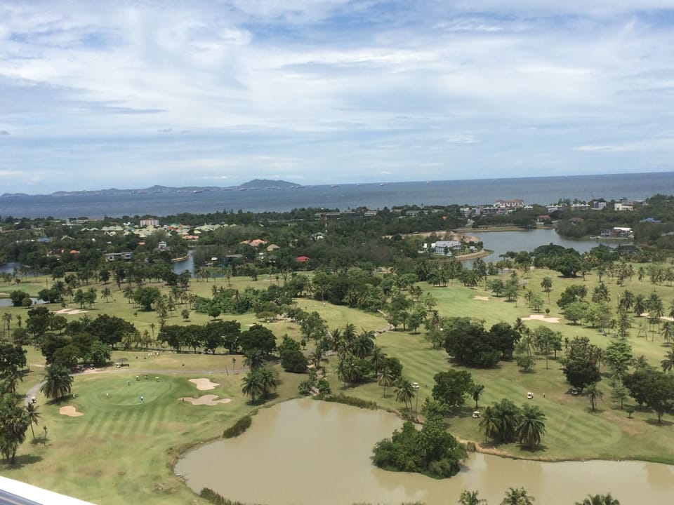Your panoramic view