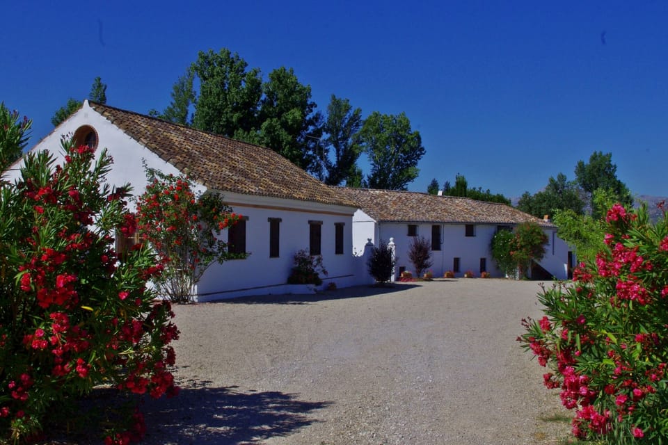 Villa Casa Abuela and Finca Retama Farmhouse with flowers