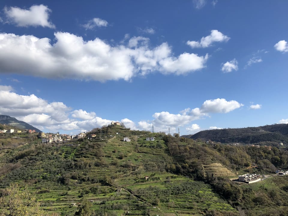 Sichelgaita - Family Apartment  • Olive Grove • Free Parking • Relax  Apartment in Salerno