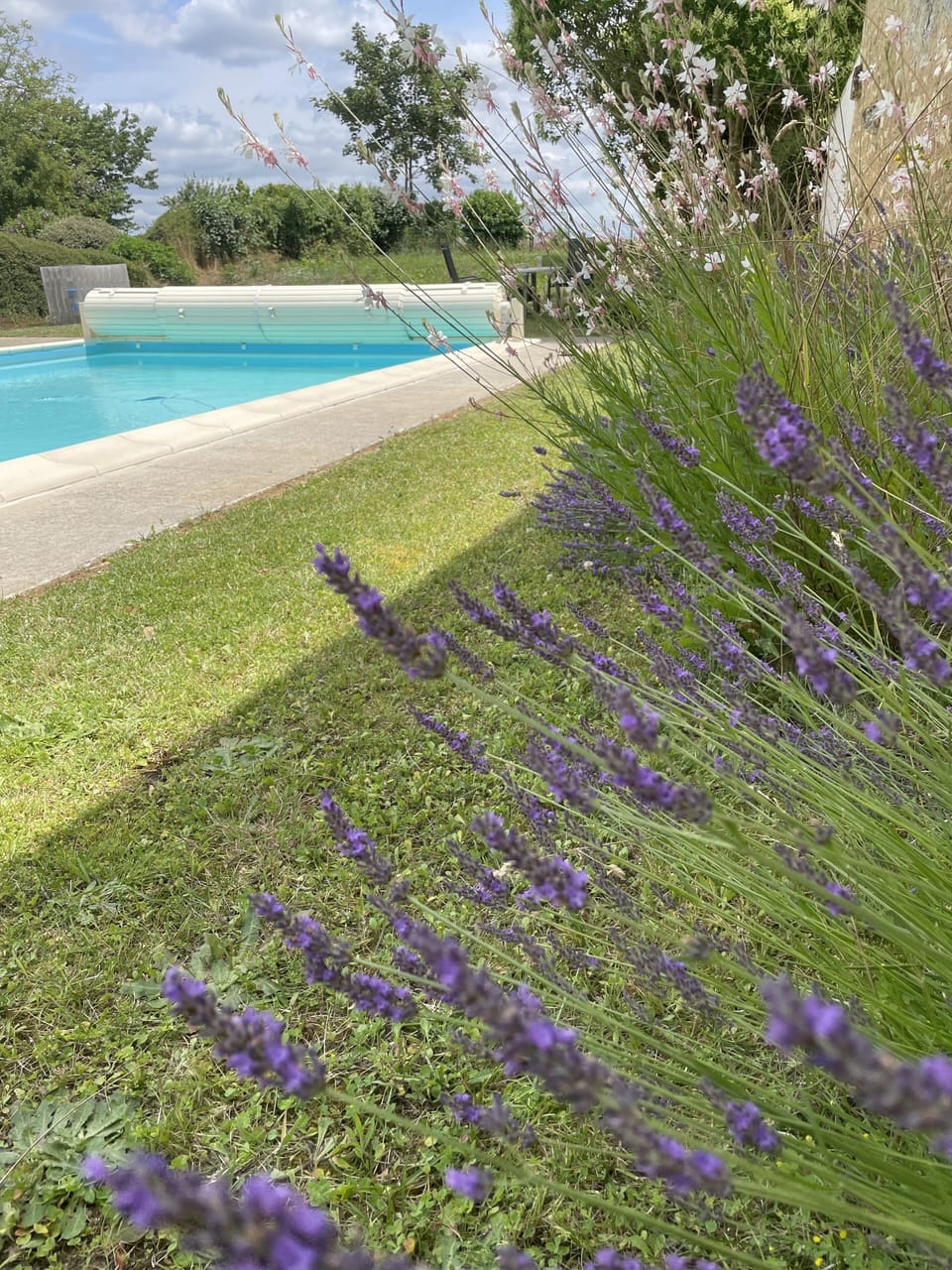 The 10m x 5m saltwater pool.  It's 1.25m deep